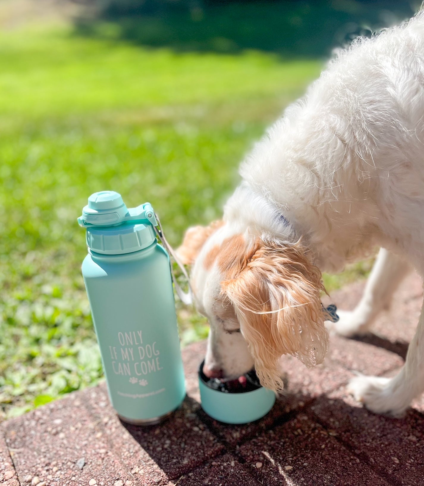 Stainless Steel Water Bottle with Storage Compartment