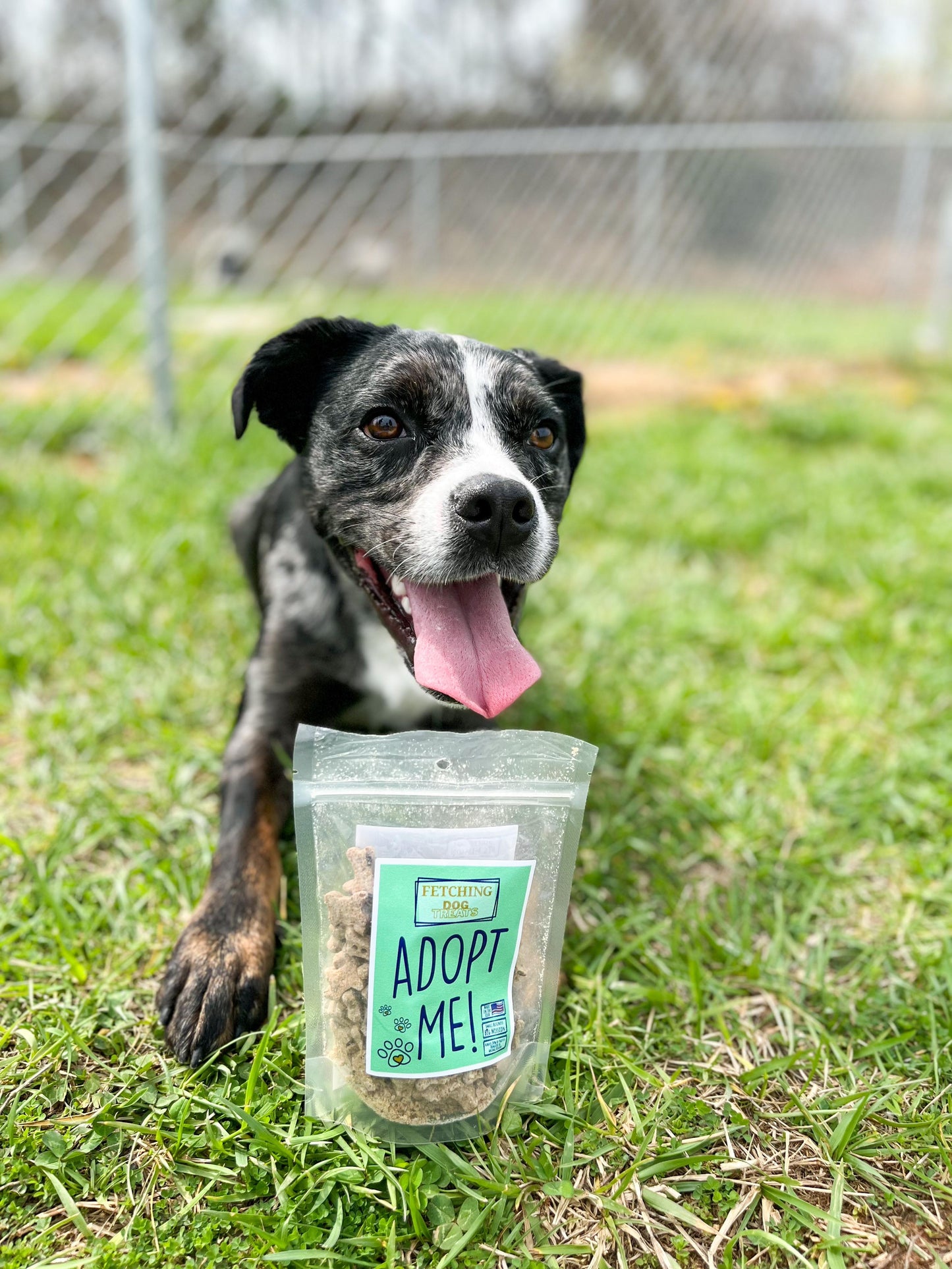 "Adopt Me!" Dog Treats (donate a bag to a shelter pet!)