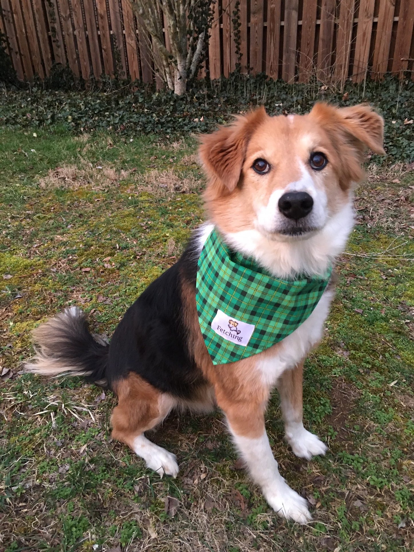 Fetching bandana! We're the people who donate 40% of profits to animal rescues. Go get it!