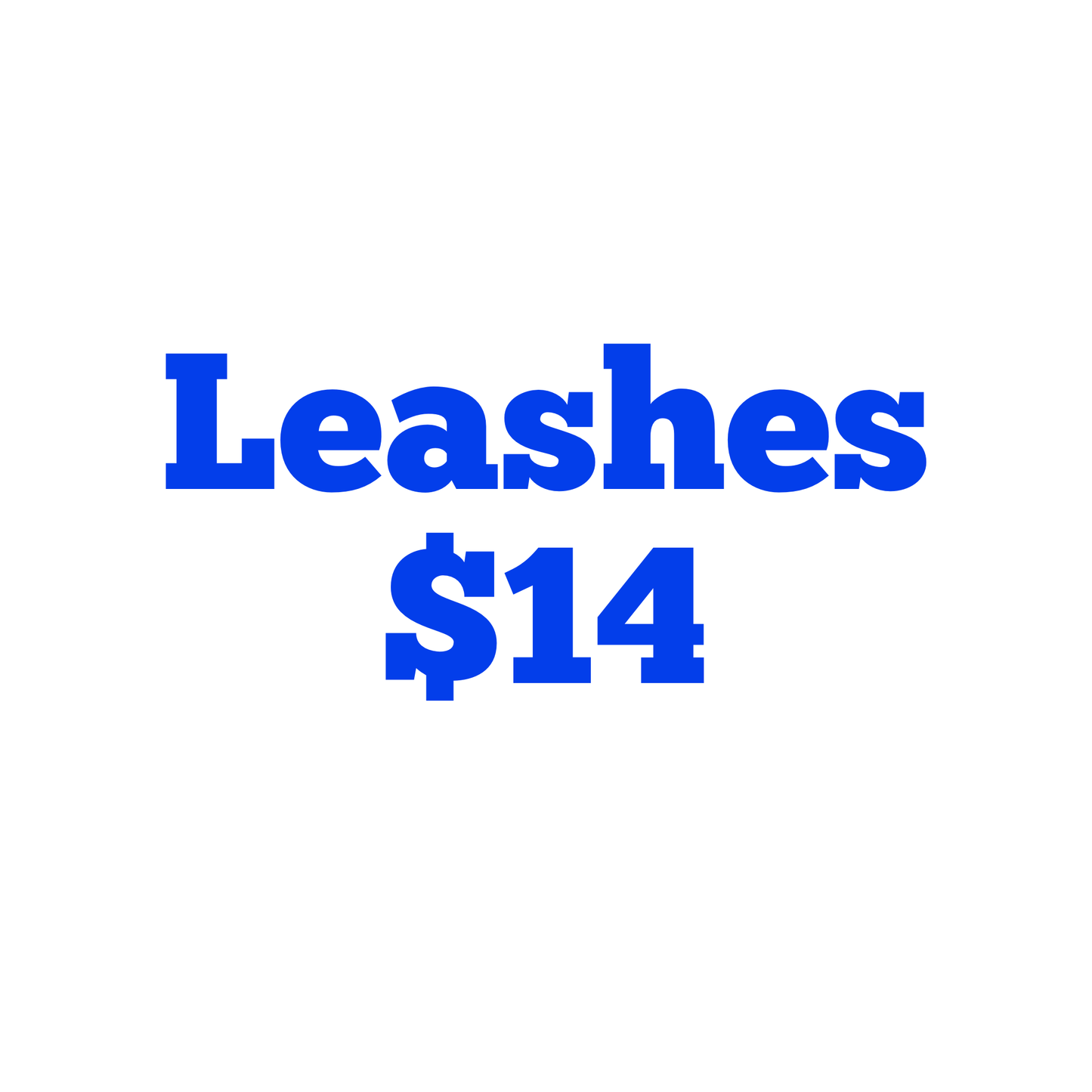 Leashes