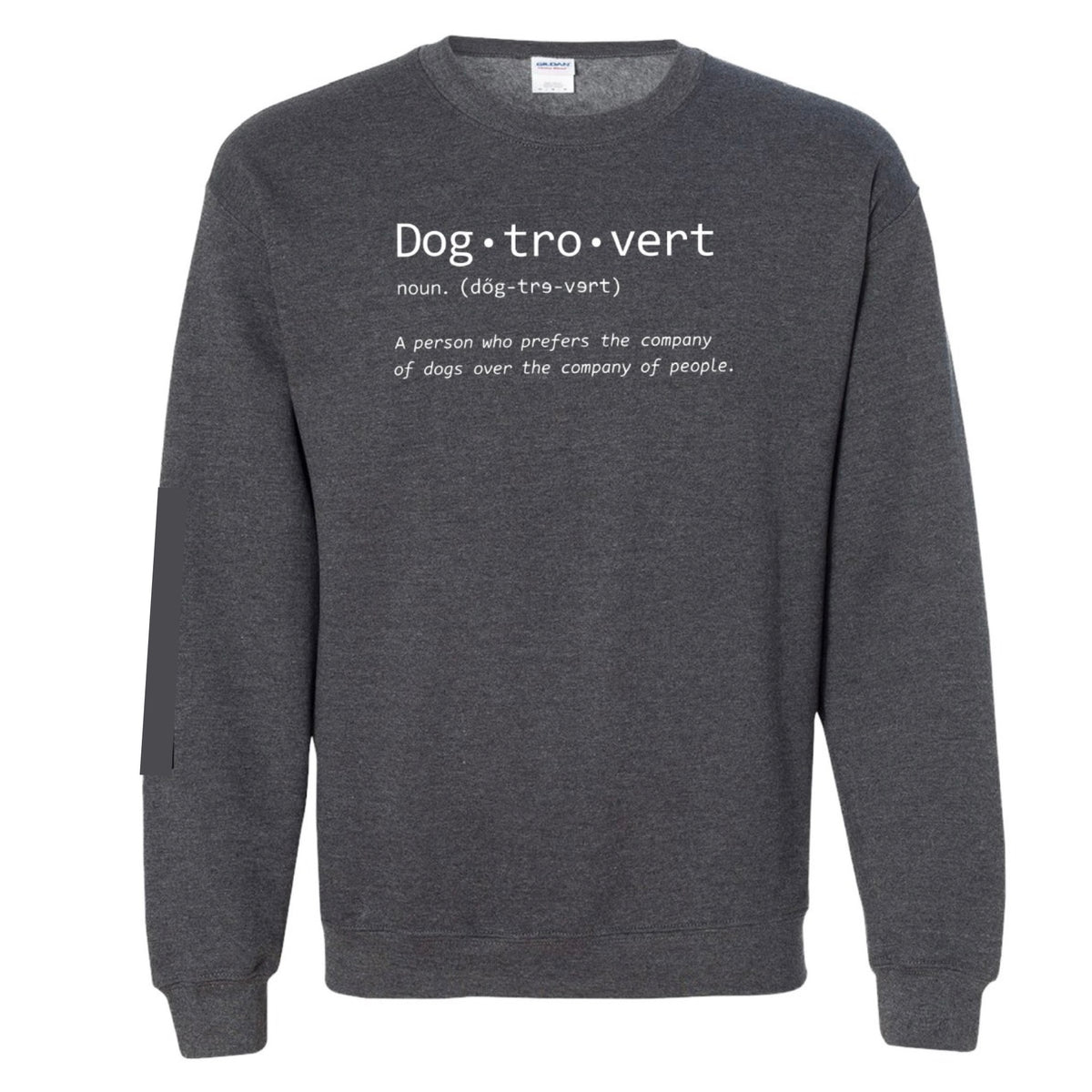 Dark gray sweatshirt with 'Dog·tro·vert' text graphic on front