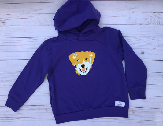 Toddler hoodies $14