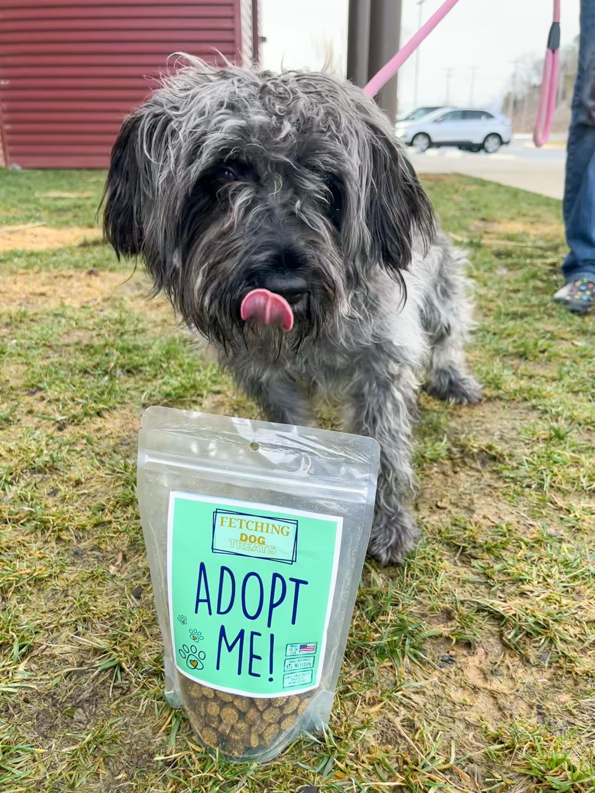 "Adopt Me!" Dog Treats (donate a bag to a shelter pet!)